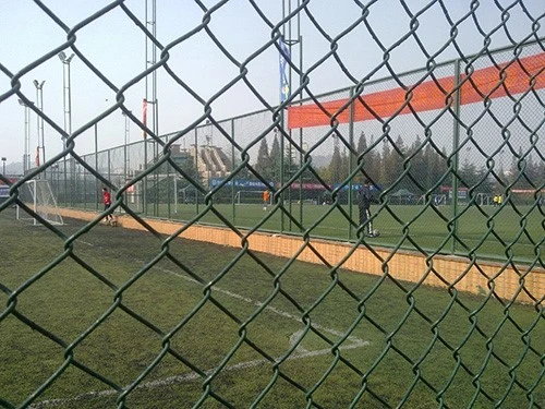 Customizable Fine Quality Chain Link Mesh, Fit Your Regional Fencing Needs